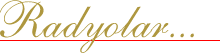  Toptan Ucuz Promosyon Radyo 
